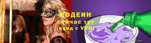 прущая мука Ельня