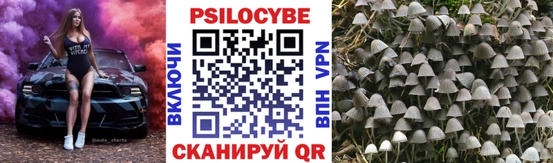 Галлюциногенные грибы Cubensis  Купить закладки  Елизаветинская 