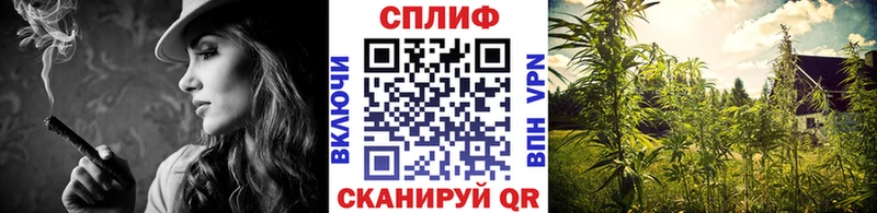 Бошки марихуана семена  Купить закладки  Елизаветинская 